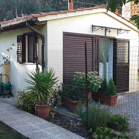 Da Lilly Apartment لوكا المظهر الخارجي الصورة